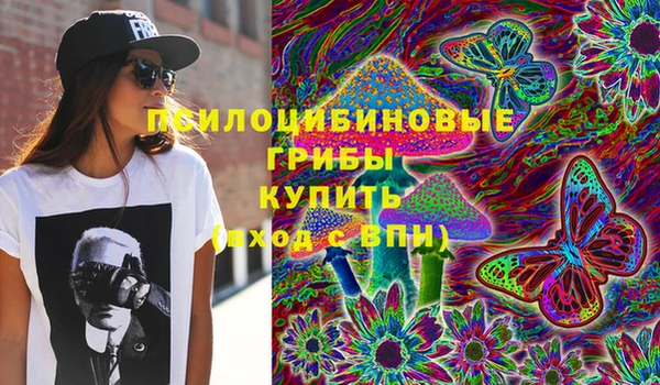 дурь Верхний Тагил