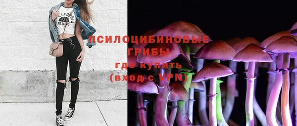 дурь Верхний Тагил