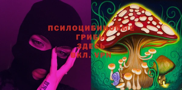 дурь Верхний Тагил