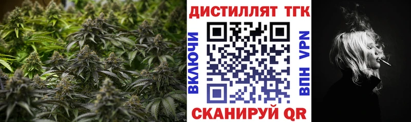 Дистиллят ТГК концентрат  Грязовец 