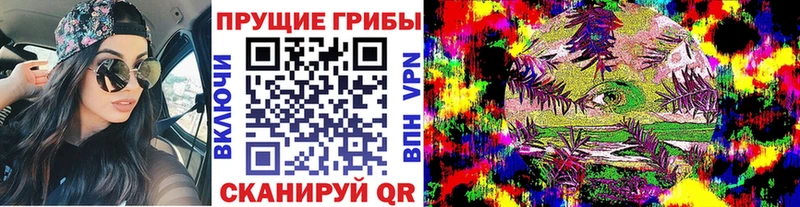Галлюциногенные грибы Psilocybe  Грязовец 